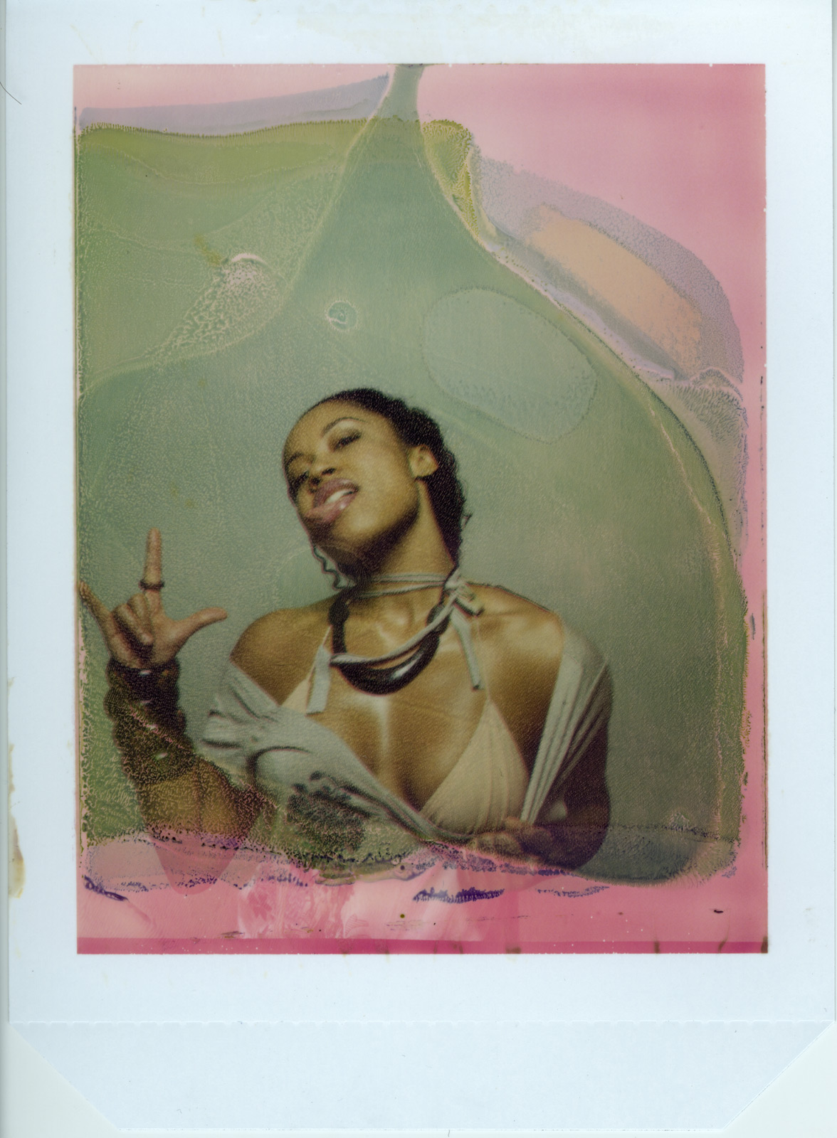 polaroid