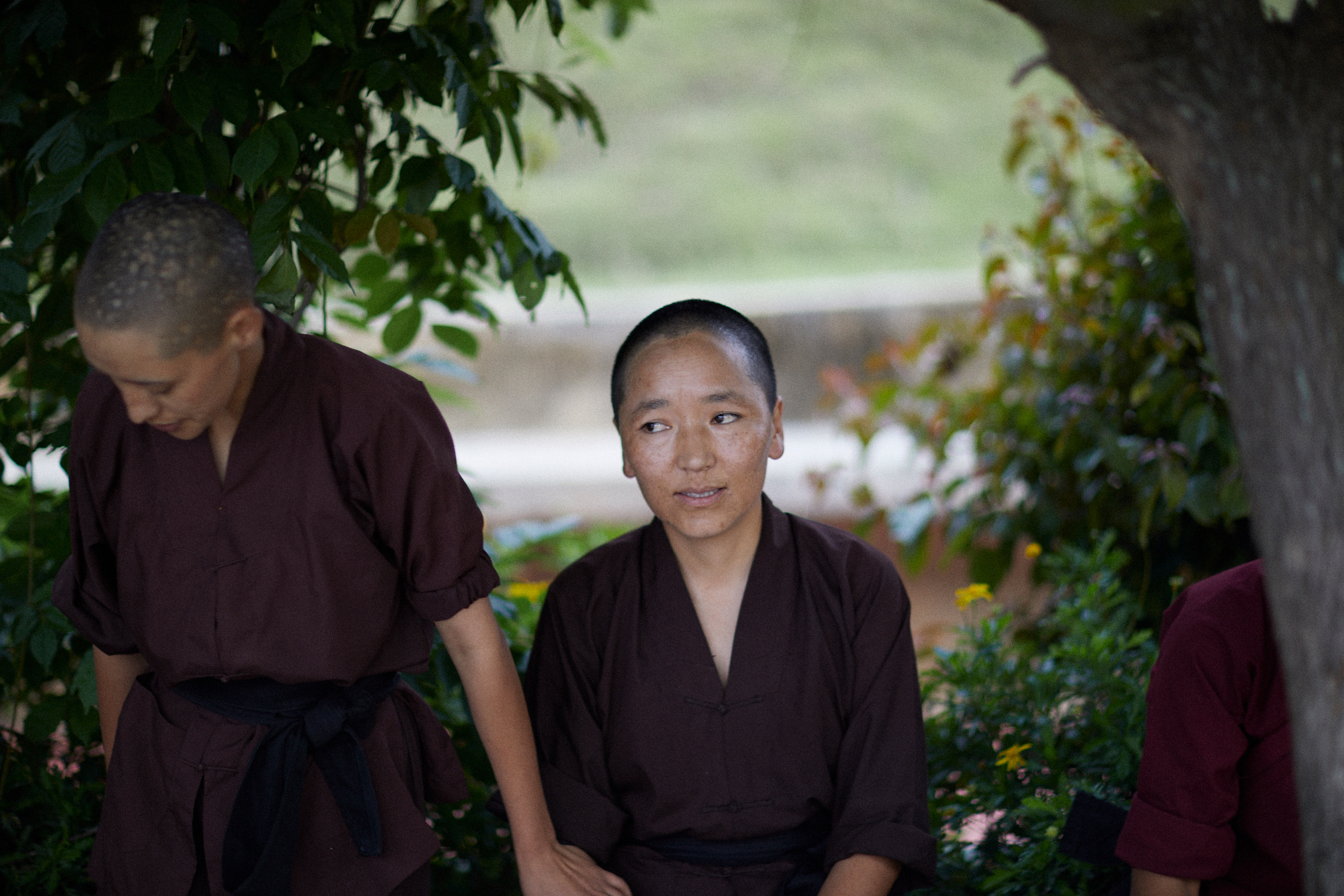Michael Greenberg Photography- Kung Fu Nuns